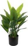 BigBuy Paradijsvogel Decoratieve plant 40 x 30 x 70 cm Groen