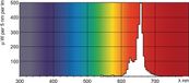 Philips LED Philips MASTER TL-D 36W Rood TL-lamp G13 120cm