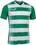 Joma Europa V T-shirt Groen/Wit XXXL Mannen Korte mouw Polyester