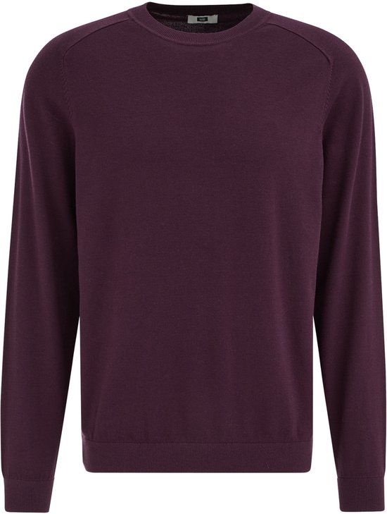 WE Fashion Heren regular fit trui Aubergine XXL