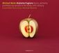 Glossa Ensemble Plus Ultra, Michael Noone - Maier: Atalanta Fugiens: Music, Alchemy And Rosicrucianism In The Early 17th Century (CD)