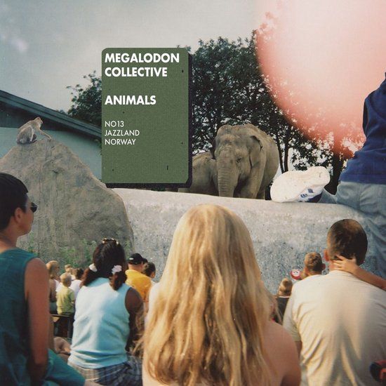 Animals Megalodon Collective Animals (2 LP)