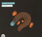 Sonic Rendezvous Michael Schiefel Platypus Trio - Michael Schiefel Platypus Trio (CD)