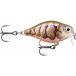 Rapala - X-Light Crank Shallow Runner kunststof constructie - Drijvend zoetwaterkunstaas