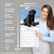 Avonside Black Labrador Puppies 2027 Calendar