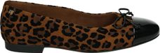 Paul Green 076 Ballerina's Dames - Bruin - Maat 38,5