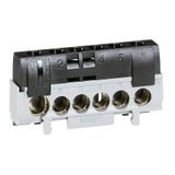 Legrand 0 927 83 groepenkastaccessoire, Klemmenblok, 5 terminals voor kabel 6 tot 25 mm2 + 1 terminal voor kabel 10 tot 35 mm2, Zilver, Zwart, 125 A, IP2X, 62 mm, 20 mm, 30 mm