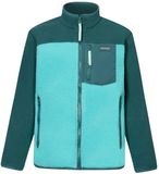 Regatta Kinderfleece Frankie Warm Blauw/Groen Unisex 11 jaar