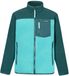 Regatta Kinderfleece Frankie Warm Blauw/Groen Unisex 11 jaar