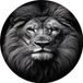 Leeuw Cercle mural - Forex - 70x70cm - Noir/Blanc/Gris - Moderne