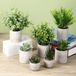 Unyqoos® Set – 7 plantes artificielles décoratives (30 cm), PVC, vert