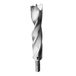 BIT Houtspiraalboor Ø 8 mm, lengte 110 mm, schacht 1/4 inch 6-kant
