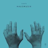 Brilliant Classics CEEYS - Hausmusik (2 LP)