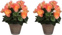 Mica Decorations Plante artificielle - 2x - begonia - saumon - en pot - 25 cm