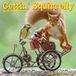 Willow Creek Press Gettin' Squirrelly 2027 7 X 7 Mini Wall Calendar