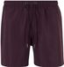 New Morning Studios Basic Swim Shorts NM036 - Plum Purple - XL
