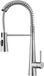 ApexArte® Robinet de cuisine - Argent