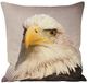 Paoletti ANIMAL EAGLE 45X45 FEATH CUSH, grijs, 45x45cm