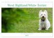 West Calvendo West Highland White Terrier - Your charming companion (Wall Calendar 2027 DIN A4 landscape)