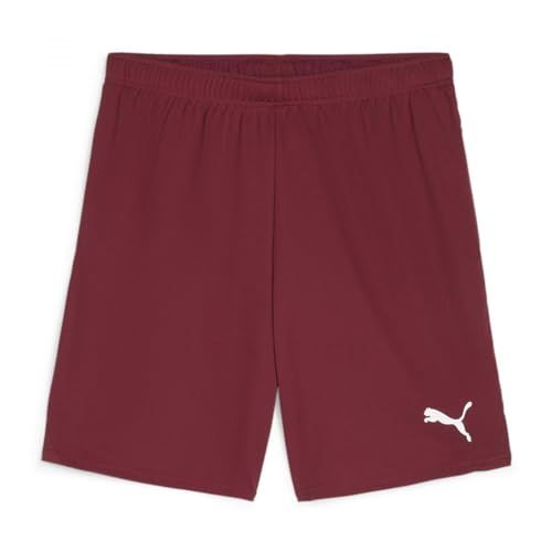 Puma TeamGoal Shorts XXL