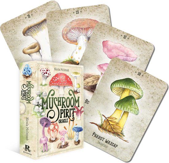 Mushroom Rockpool Mushroom Spirit Oracle