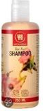 Urtekram Tea Tree Shampoo 500 ml