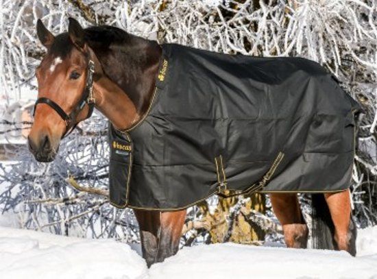 Bucas Regendeken Irish Turnout Extra - Black-gold - 175