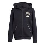 adidas Seasonals Collegiate Typography Hoody uniseks-kind Sweatshirt met capuchon