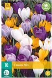 Jub X 10 Crocus grootbloemig mix