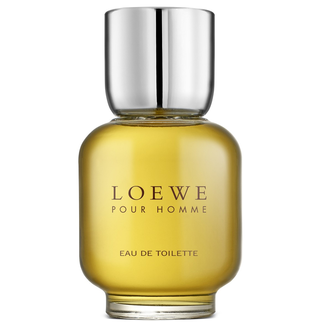 Loewe Pour Homme 100 ml eau de toilette spray eau de toilette / 100 ml / heren