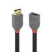 LINDY 36498 DisplayPort-kabel DisplayPort Verlengkabel DisplayPort-stekker, DisplayPort-bus 3.00 m Antraciet, Zwart, Rood