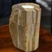 Ancient Wisdom Versteend Hout Kandelaar - Enkel Hoog