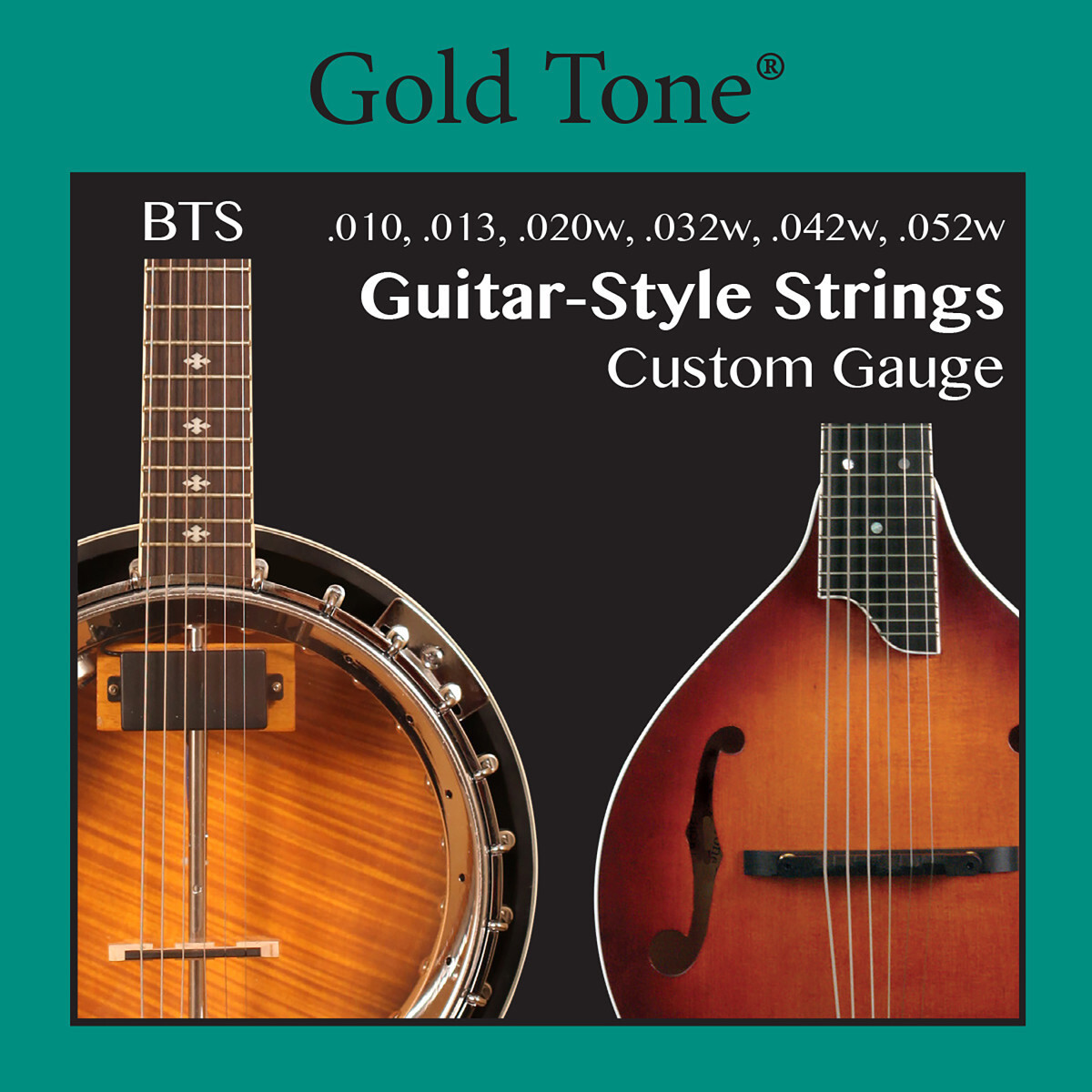 Gold Tone BTS Guitar-style Banjitar Strings