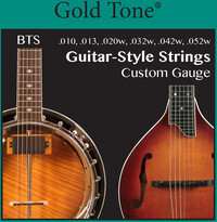 Gold Tone BTS Guitar-style Banjitar Strings