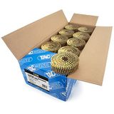 Tacwise 1230 Verzinkte Nagels op Vlakke Rol 2,1/32 mm, 14.400 Stuks