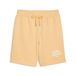 PUMA Klasse Shorts 8" TR