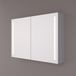 HIPP Design Spiegelkast - Verticale LED Banen 100 x 70 x 14 cm