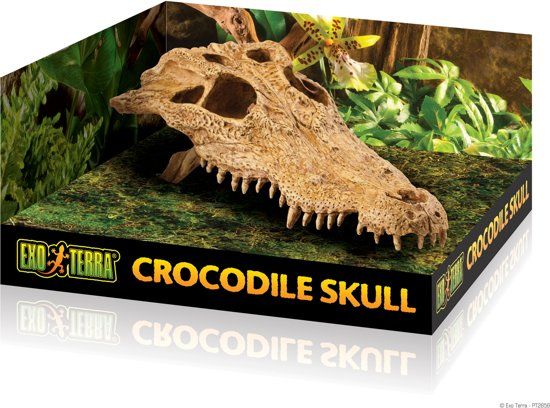 Exo Terra Crocodile Skull