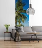 Komar - vliesbehang COCOCONUT BAY - 100 x 280 cm