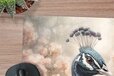 Muismat XXL - 80x80 cm - Pauw - Vogels - Bloemen - Botanisch - Bureau onderlegger
