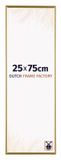 Dutch Frame Factory Fotolijst 25x75 cm - Kunststof - Goud - Easy