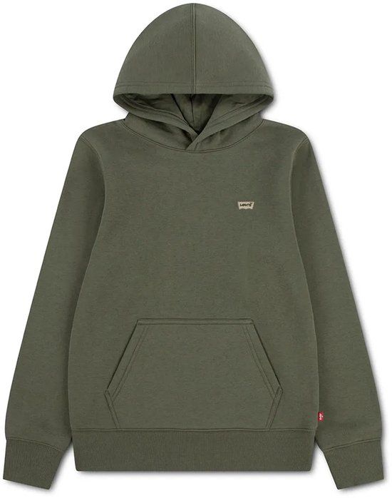 Levi's Kids Mini Batwing Hoodie Groen 6 Years Jongen