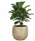 Mica Decorations Bloempot / plantenpot Madeira - creme - terracotta - 28 x 28 cm