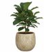 Mica Decorations Bloempot / plantenpot Madeira - creme - terracotta - 28 x 28 cm