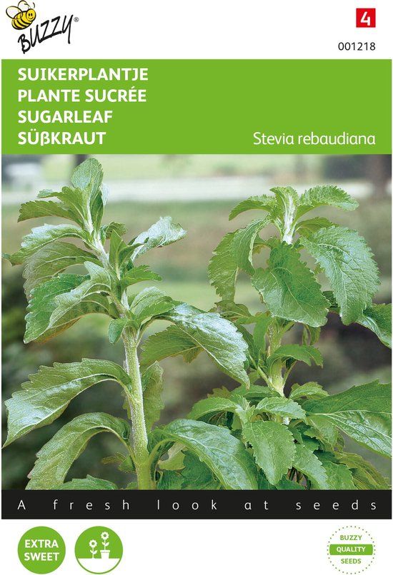 Buzzy Stevia, Suikerplantje of Honingkruid Zaden