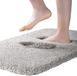 ROLIZOE Tapis de bain extra épais Tapis de bain antidérapant Tapis de bain très absorbant Tapis de bain super doux Tapis de bain microfibre Lavable en machine 40 x 60 cm, Gris clair