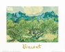 Vincent Van Gogh Kunstdruk - Landscapes with olive trees 30x24cm