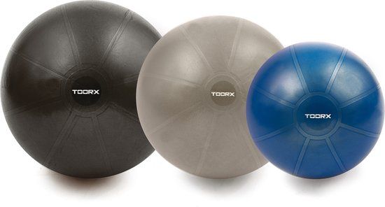 Toorx Fitness Gymbal PRO - 55 cm - Blauw