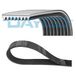 Dayco 8PK1635HD Poly Rib Riem