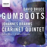 Sonic Rendezvous Signum Classics Gumboots / Clarinet Quintet